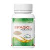 Psyllium Husk | SpaGol