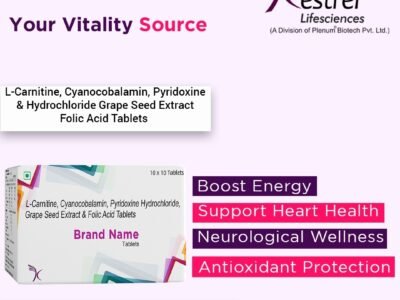 L-Carnitine Cyanocobalamin Pyridoxine Hydrochloride Grape Seed Extract Folic Acid Tablets | Carnibest