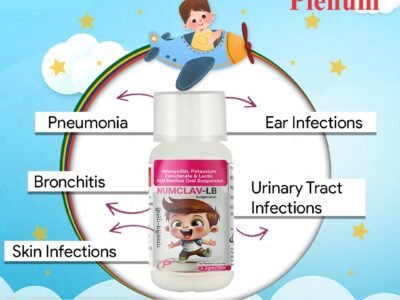 Amoxycillin Potassium Clavulanate Lactic Acid Bacillus Suspension | Numclav-LB
