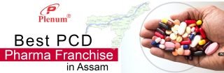Franchise in Assam for PCD Pharma