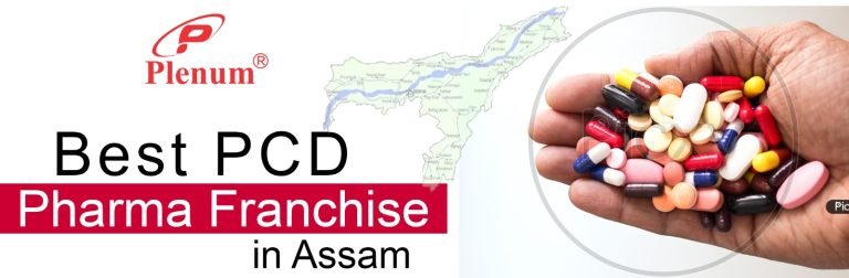 Franchise in Assam for PCD Pharma
