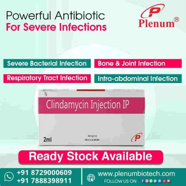 Clindamycin Injection | Climzole 300