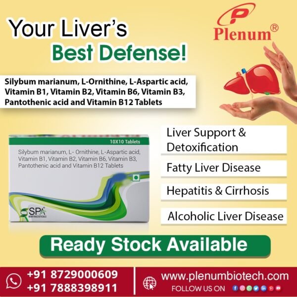 Silybum marianum L-Ornithine L-Aspartic acid Vitamin B1 B2 B6 B3 Pantothenic acid Vitamin B12 Tablets | Plenoliv-250 Silybum marianum L-Ornithine L-Aspartic acid Vitamin B1 B2 B6 B3 Pantothenic acid Vitamin B12 Tablets | Plenoliv-250