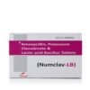 Amoxycillin Potassium Clavulanate Lactic acid Bacillus Tablets | Numclav LB Amoxycillin Potassium Clavulanate Lactic acid Bacillus Tablets | Numclav LB