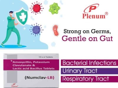 Amoxycillin Potassium Clavulanate Lactic acid Bacillus Tablets | Numclav LB