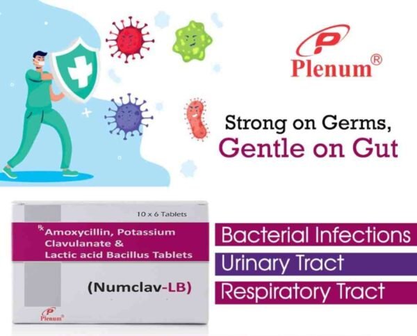 Amoxycillin Potassium Clavulanate Lactic acid Bacillus Tablets | Numclav LB Amoxycillin Potassium Clavulanate Lactic acid Bacillus Tablets | Numclav LB