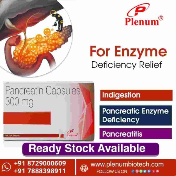 Pancreatin Capsules 300 Mg | Pnzymes 25000