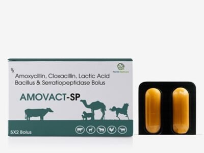 Amoxycillin Cloxacillin Lactic Acid Bacillus Serratiopeptidase Bolus | Amovact-SP Amoxycillin Cloxacillin Lactic Acid Bacillus Serratiopeptidase Bolus | Amovact-SP