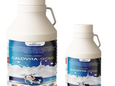 Homogeneous Calcium And Phosphorus Suspension | Chelated Calovita-Gold Homogeneous Calcium And Phosphorus Suspension | Chelated Calovita-Gold