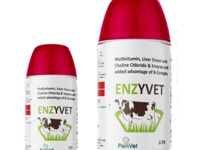 Veterinary Multivitamin with B-Complex Liquid | Enzyvet