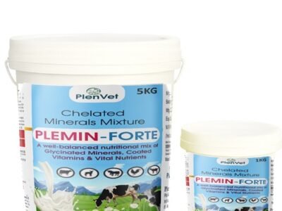 Chelated Mineral Mixture | Plemin-Forte Chelated Mineral Mixture | Plemin-Forte