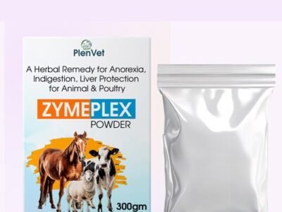Herbal Remedy for Anorexia Indigestion Liver Protection for Animal And Poultry | Zymeplex Powder Herbal Remedy for Anorexia Indigestion Liver Protection for Animal And Poultry | Zymeplex Powder