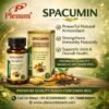 Nano-Curcumin Nano-Piperine Veg Capsule | Spacumin 30 Veg Capsule