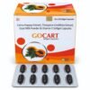 Carica Papaya Extract Tinospora Cordifolia Extract Goat Milk Powder Vitamin E Softgel Capsules | Gocart